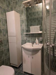 a small bathroom with a sink and a toilet at Cabana Maly in Petroşani +34 photos