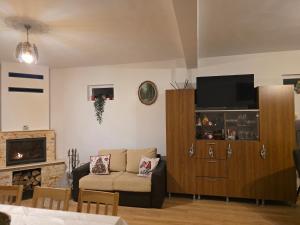 a living room with a couch and a tv at Cabana Maly in Petroşani