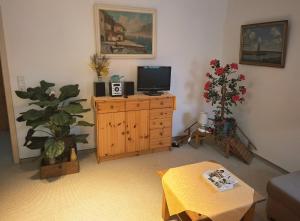 a living room with a television on a wooden dresser at Ferienwohnanlage John Alter Stall in Burg