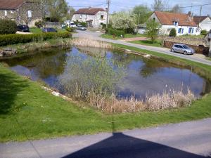 a pond on the side of a road at Gite Du Grand Morin in Villeneuve-la-Lionne