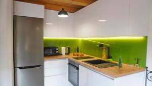 a kitchen with white cabinets and green walls at Boroviti Mountain House in Blidinje +28 photos