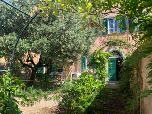 a house with a green door and a tree at La Meridiana in Vicopisano