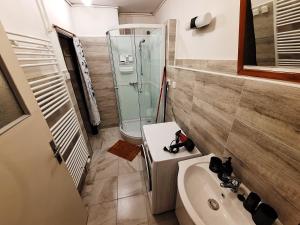 a bathroom with a shower and a toilet and a sink at Apartmány 107 in Olešnice v Orlických horách +80 photos