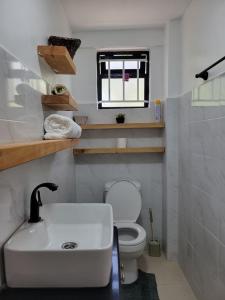 a small bathroom with a sink and a toilet at Olkeleo HummingBird Cottage in Naivasha