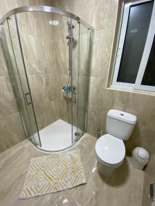 a bathroom with a shower with a toilet and a window at Xagħra Lodge in Xagħra