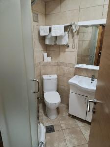 a small bathroom with a toilet and a sink at Motel Aleksandar in Pojate +9 photos