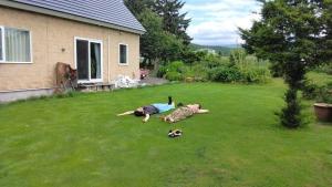 a woman laying on the grass in a yard with a dog at Hillview cottage Sanfurano in Kami-furano +154 photos