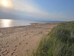 a beach with footprints in the sand and the ocean at Apartment Norrgården in Genevad