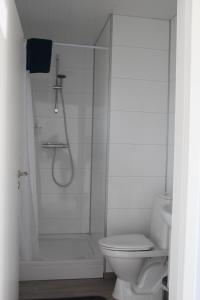 a white bathroom with a shower and a toilet at Systrakot - Studio Apartments in Talknafjordur
