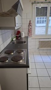 a kitchen with a stove and a sink at Private Ideal Apartment in Fribourg +6 photos