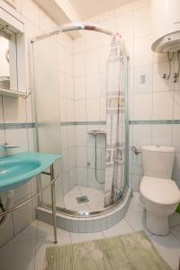 y baño con ducha, aseo y lavamanos. en Apartments Obala Dragovic, en Petrovac na Moru