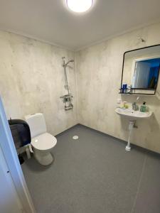 a bathroom with a toilet and a sink and a mirror at Brinkeboda Wärdshus in Mörsil +32 photos
