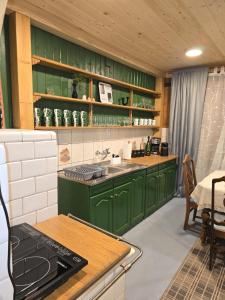 a kitchen with green cabinets and a sink at Przytulisko Dom na wyłączność in Biały Dunajec +9 photos