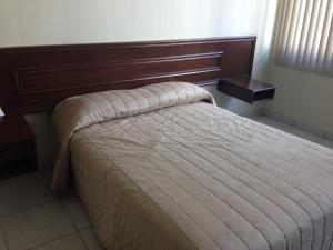 Postel nebo postele na pokoji v ubytování Hotel Plaza Sahuayo