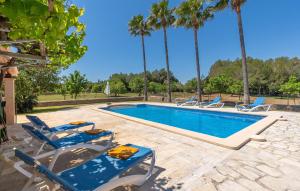 a swimming pool with chairs and palm trees at Can Cremat in Artá
