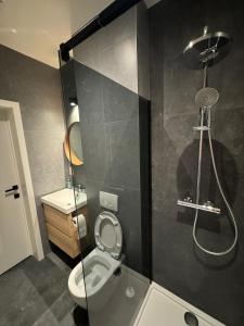 a bathroom with a shower and a toilet and a sink at Modern apartment - Lier in Lier +4 photos