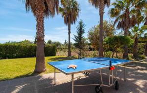 a ping pong table in a park with palm trees at Can Jaume Pollenca in Pollença