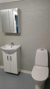 a bathroom with a white toilet and a sink at Klinta Seaview Cabin ensuite in Köpingsvik +2 photos