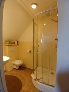 a bathroom with a shower and a toilet at Hoeve Op Vollenhof in Wezep +34 photos