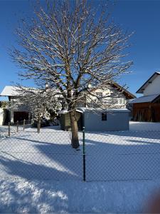 a tree behind a fence in the snow at Ferienwohnung Mußner im Chiemgau in Tacherting
