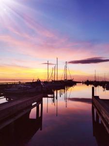 a group of boats parked in a marina at sunset at Sleeping on the GilgaBoat! in Nakskov