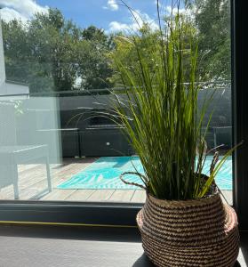 a plant in a basket sitting in a window at Guesthouse in Neuhäusel