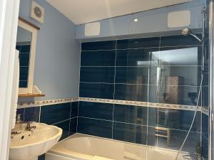 a bathroom with a shower and a sink and a tub at The Lindum in Hastings +2 photos