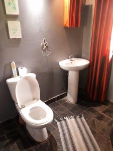 a bathroom with a toilet and a sink at Warembo Lodge in Grootvlei +33 photos