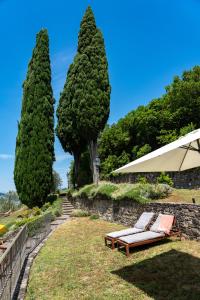 a chair and an umbrella in a yard with trees at Podere Vecci in Dicomano