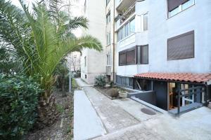 a palm tree in front of a building at Two bedroom Vintage apartment in Kotor