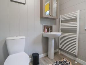 a bathroom with a toilet and a sink at Holly Lodge in Holywell +27 photos
