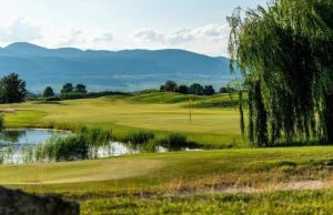 a golf course with a pond next to a tree at Sand & Chill - Appartement 55R in Rouffach