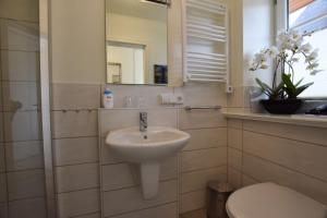 a bathroom with a sink and a toilet and a mirror at Ferienhaus Alte Dorfstraße 20 in Tinnum