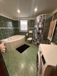 a bathroom with a tub and a toilet and a sink at private house in Ústí nad Labem