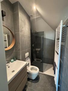 a bathroom with a toilet and a sink at Minimalist apartment - Lier center in Lier