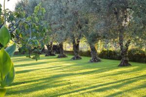 Zahrada ubytování Villa Irene Pisticci-Matera