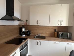 a kitchen with white cabinets and a sink and a microwave at Mountain River Apartment in Chienes +17 photos