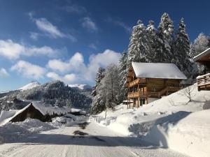 a log cabin in the snow on a mountain at LE SAPORTA- Studios et Appartements meublés de tourisme in Le Lioran