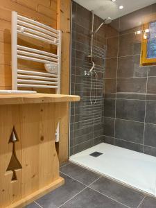 a bathroom with a shower with a glass door at LE SAPORTA- Studios et Appartements meublés de tourisme in Le Lioran +40 photos