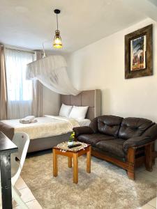 a living room with a couch and a bed at Rustic studio milimani in Kisumu
