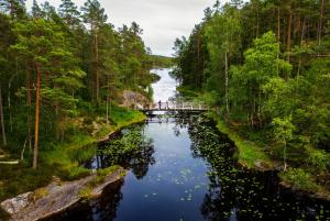 eine Brücke über einen Fluss in einem Wald in der Unterkunft Vita huset at Stora Le in Ed