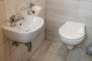a bathroom with a white sink and a toilet at Apartment Dijak in Bohinj +29 photos