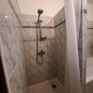 a shower with a shower head in a bathroom at Pension Paradise Slowakia in Pastovce
