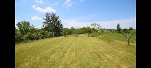 a large grass field with trees in the background at Pension Paradise Slowakia in Pastovce +2 photos