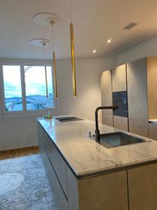 a kitchen with a sink and a counter top at New and elegant luxury apartment in Kloten +30 photos