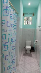 a bathroom with a toilet and a shower curtain at D Grand Charlton in Cattle Landing