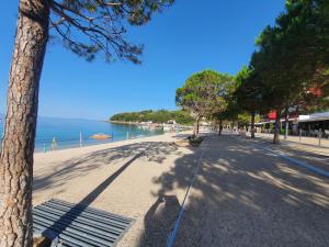 a sidewalk next to a beach with a tree at Mateo Hostel in Himare +43 photos
