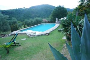 Bazén v ubytování Agriturismo Podere Palazzuolo nebo v jeho okolí + 19 fotografií