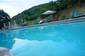 Bazén v ubytování Agriturismo Podere Palazzuolo nebo v jeho okolí
