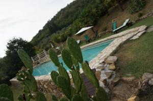 Bazén v ubytování Agriturismo Podere Palazzuolo nebo v jeho okolí